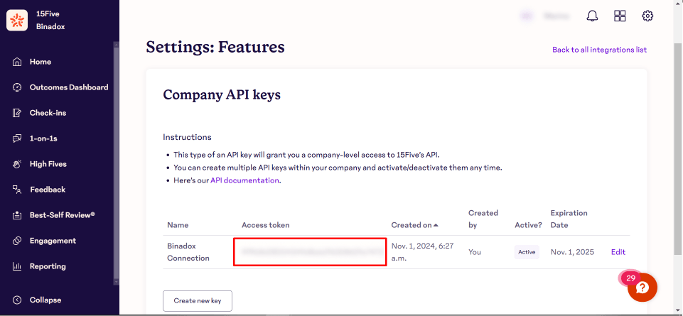 Copy API Key