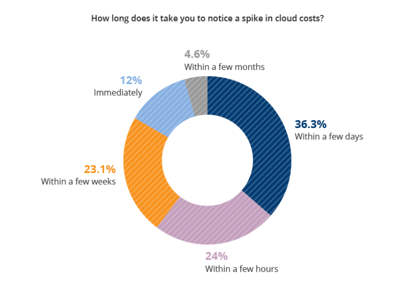 How long does it take you to notice a spike in cloud costs?