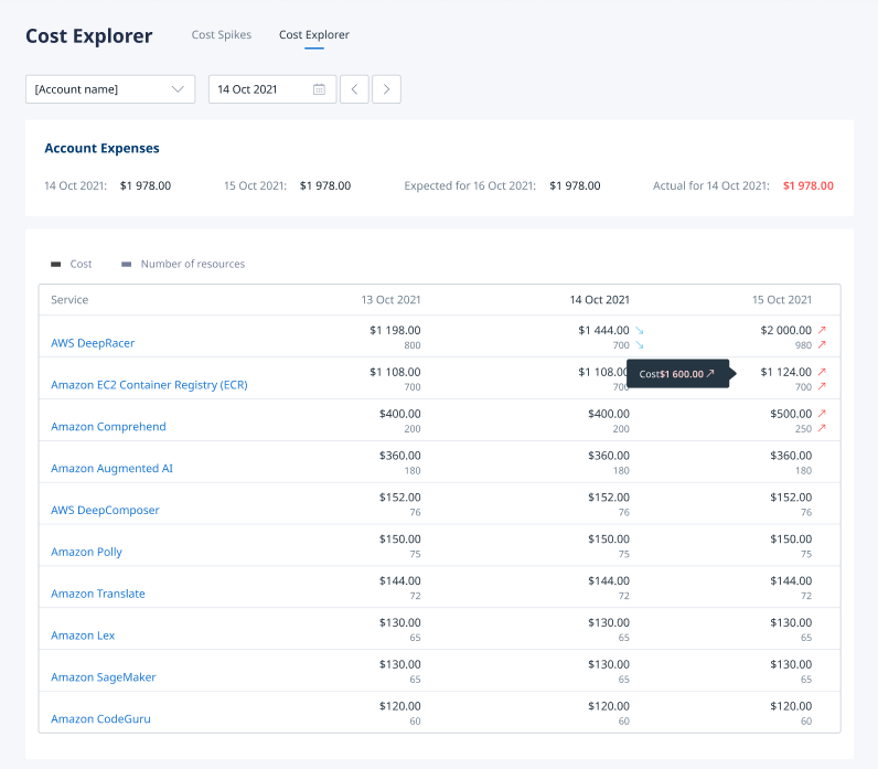 Cost Explorer in Binadox