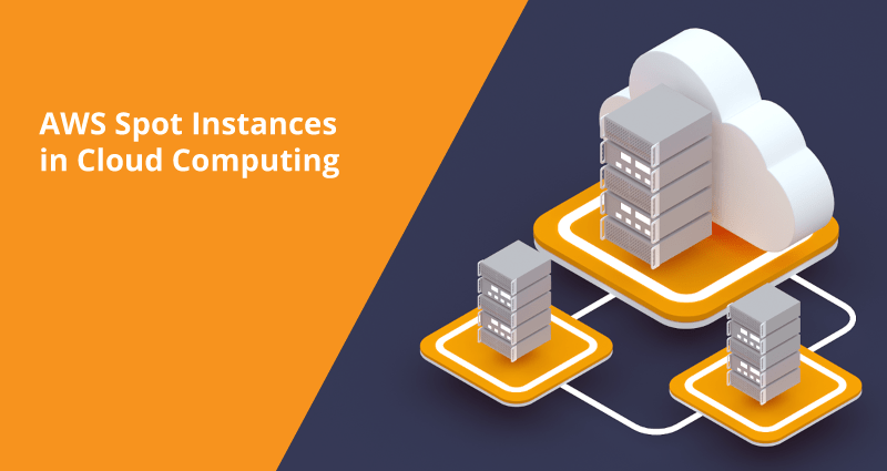 AWS Spot Instances in Cloud Computing: Benefits and Pitfalls