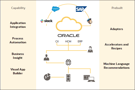 Oracle's central role in an enterprise software ecosystem, its integration with other platforms and its various capabilities for business operations and analytics. 